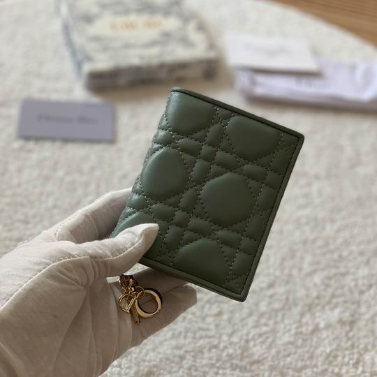 Dior S0178 11x9cm zy (3)