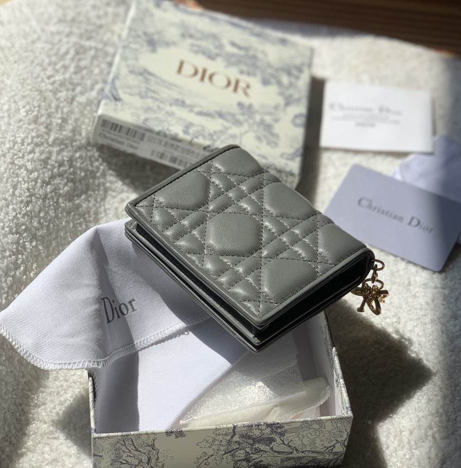 Dior S0178 11x9cm zy (30)