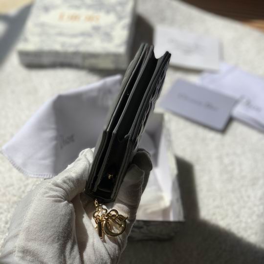 Dior S0178 11x9cm zy (31)