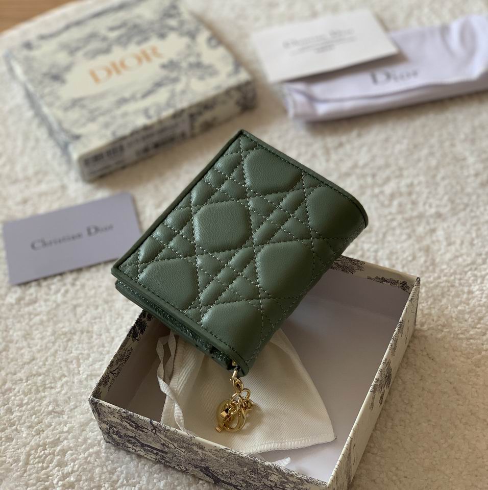 Dior S0178 11x9cm zy (4)