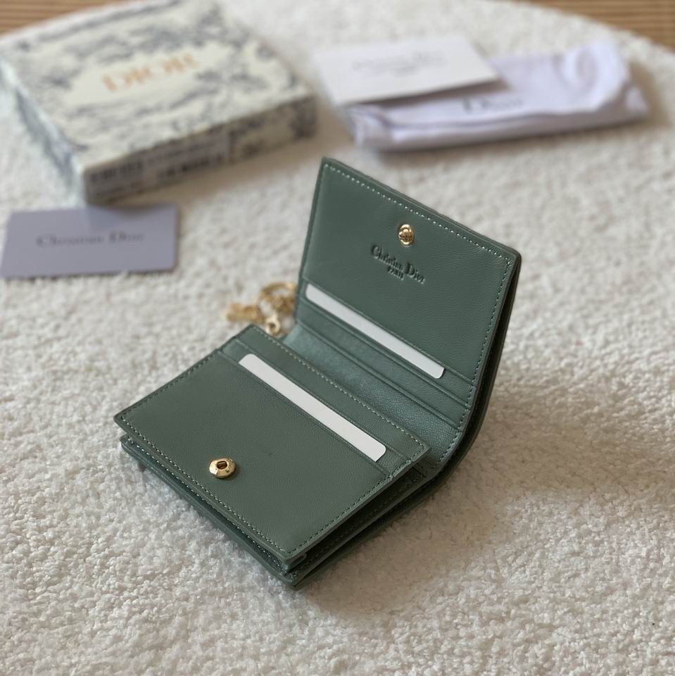 Dior S0178 11x9cm zy (6)