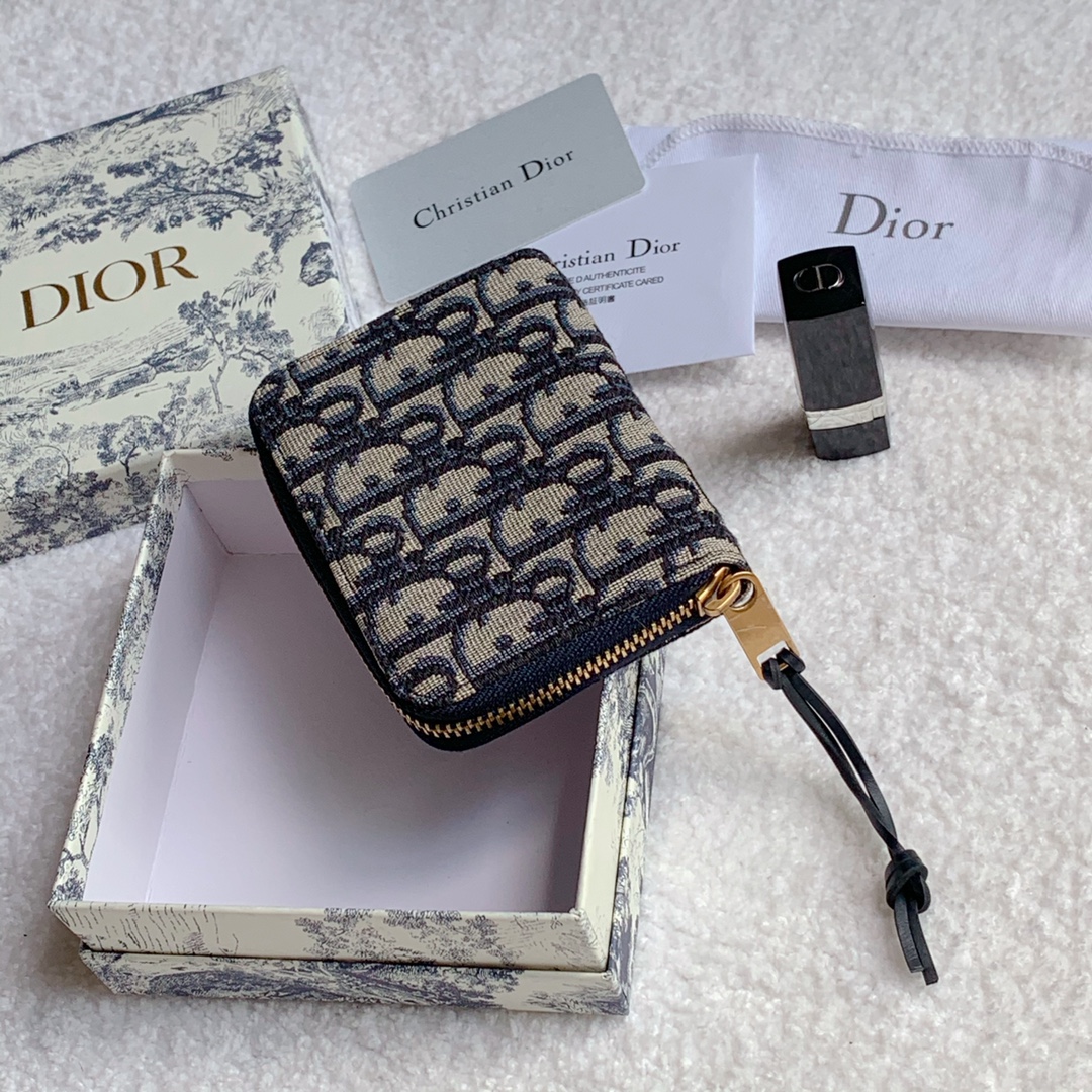 Dior S5538 9x11cm zy (3)
