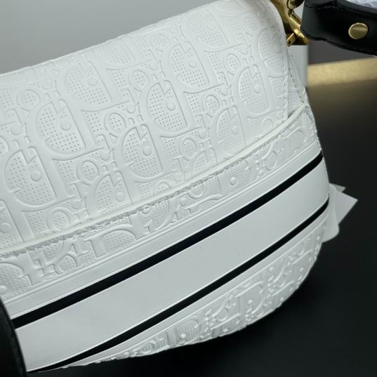Dior Saddle 0452 25cm ww (15)