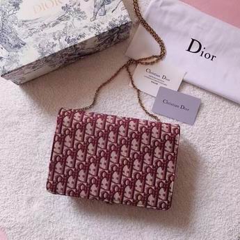 Dior Saddle M9013 22x14.5x3.5cm zy (3)