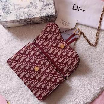 Dior Saddle M9013 22x14.5x3.5cm zy (6)