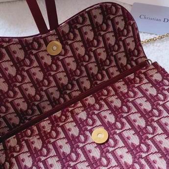 Dior Saddle M9013 22x14.5x3.5cm zy (8)