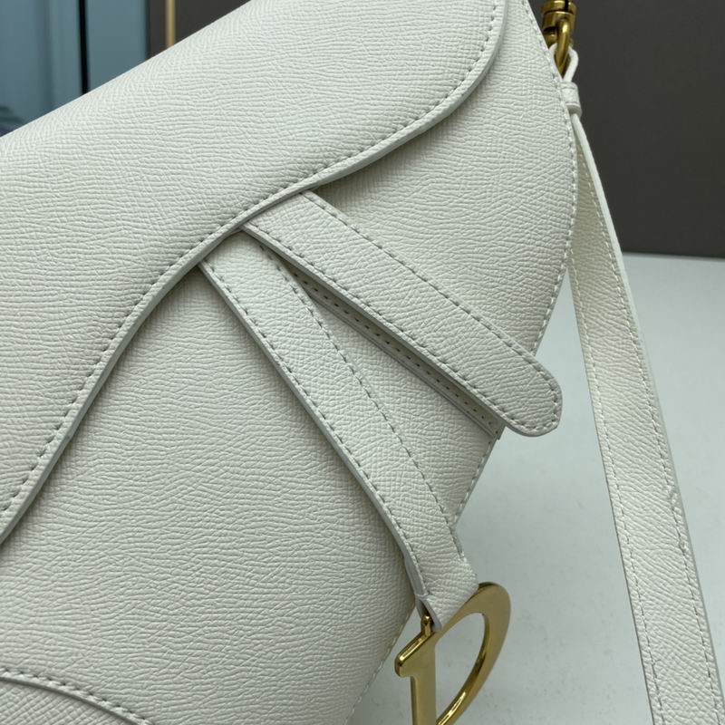 Dior saddle 0546 25.5x20x6.5cm ww5色 (21)