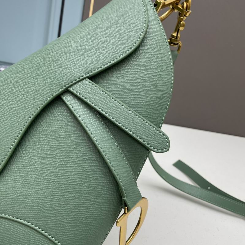 Dior saddle 0546 25.5x20x6.5cm ww5色 (6)