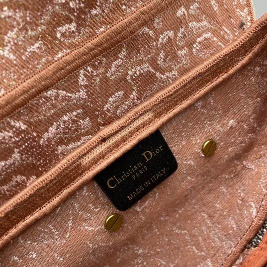Dior saddle 25.5x20x6.5cm ww (8)
