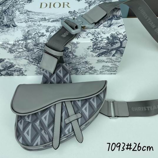 Dior saddle 7093 26x19x4.5cm ww2色 (1)