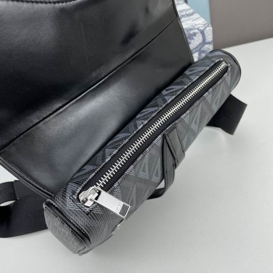 Dior saddle 7093 26x19x4.5cm ww2色 (15)