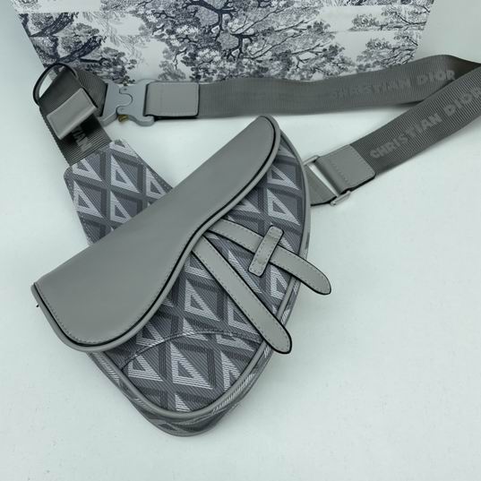 Dior saddle 7093 26x19x4.5cm ww2色 (4)