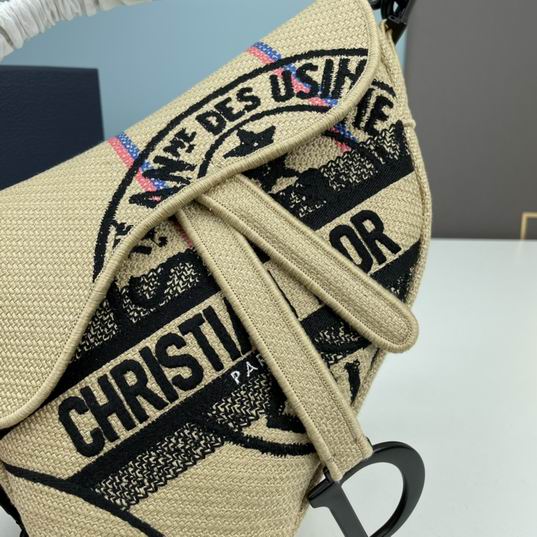 Dior saddle 8003 25.5x20x6.5cm ww (38)