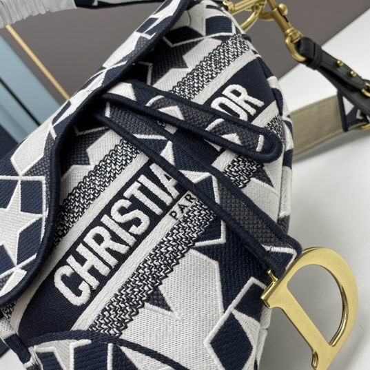 Dior saddle 8003 25.5x20x6.5cm ww1 (5)