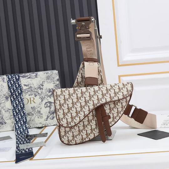 Dior saddle 9922 20x28.6x5cm ww (1)