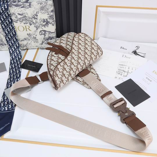 Dior saddle 9922 20x28.6x5cm ww (3)