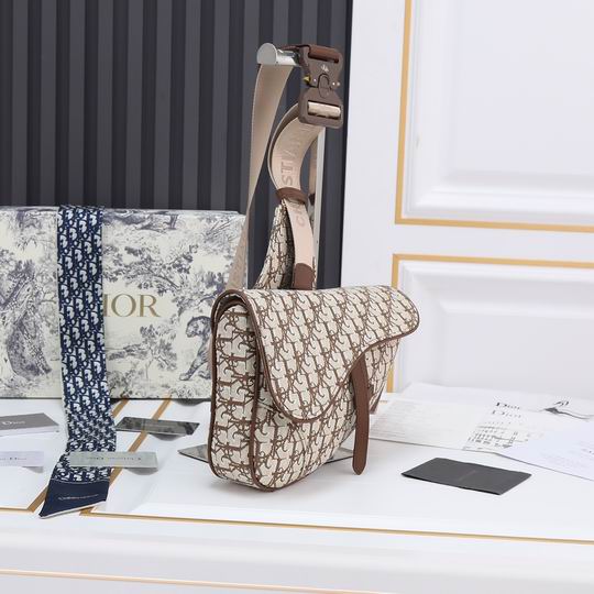 Dior saddle 9922 20x28.6x5cm ww (4)