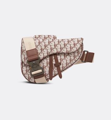 Dior saddle 9922 20x28.6x5cm ww (5)