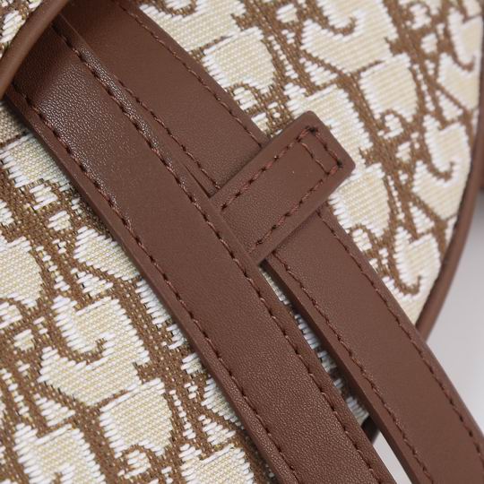 Dior saddle 9922 20x28.6x5cm ww (7)