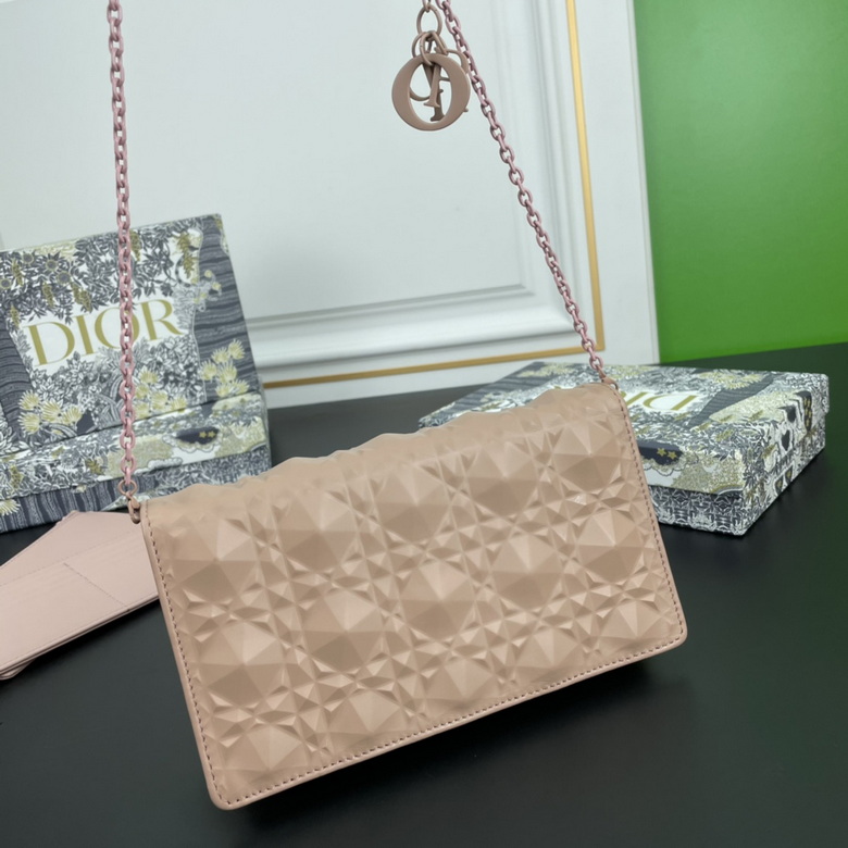 Diorcaropouch 1228 YW (11)