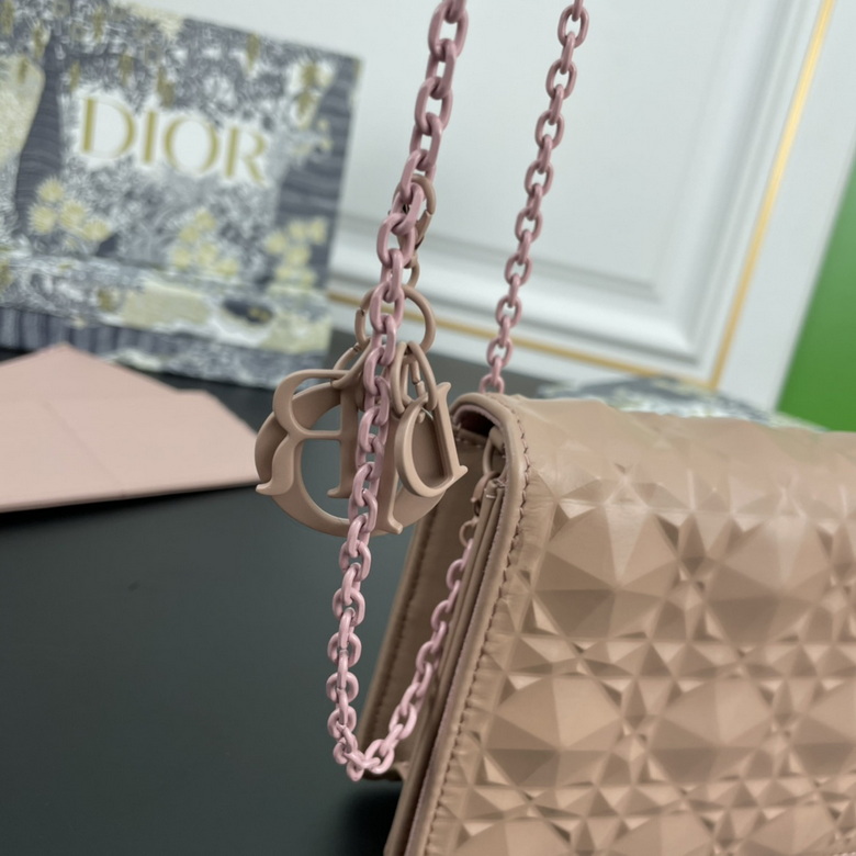 Diorcaropouch 1228 YW (12)