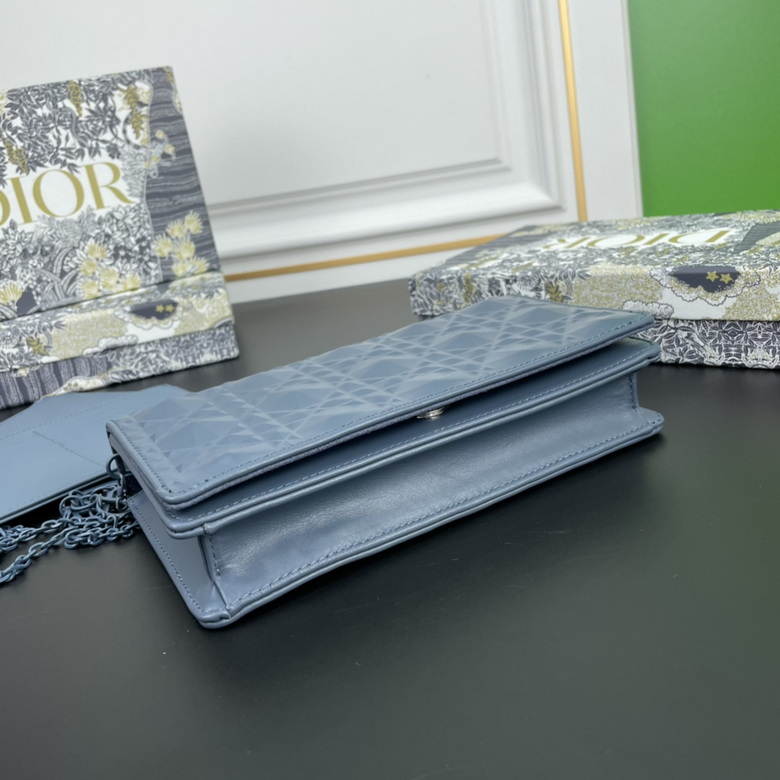 Diorcaropouch 1228 YW (21)