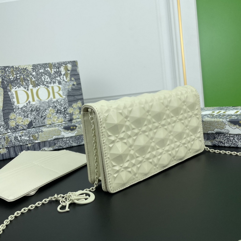 Diorcaropouch 1228 YW (26)