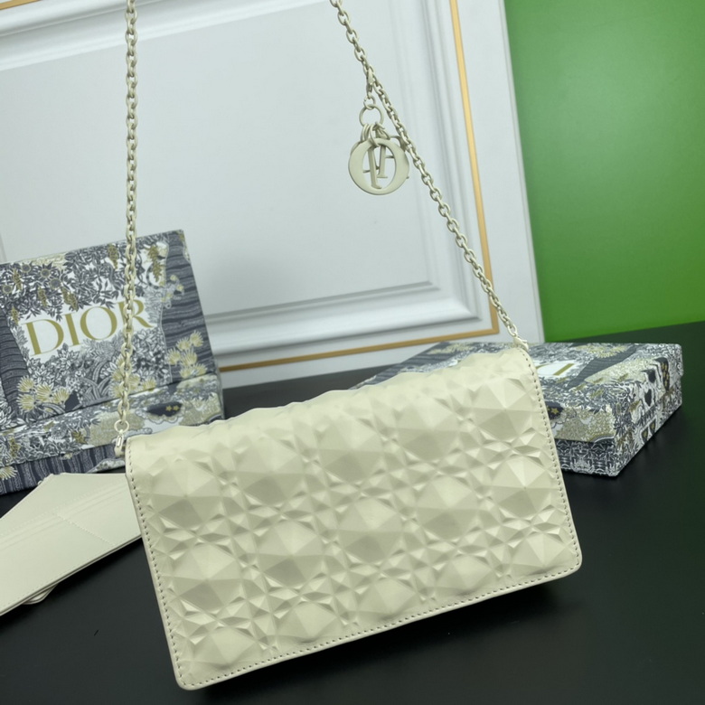 Diorcaropouch 1228 YW (27)