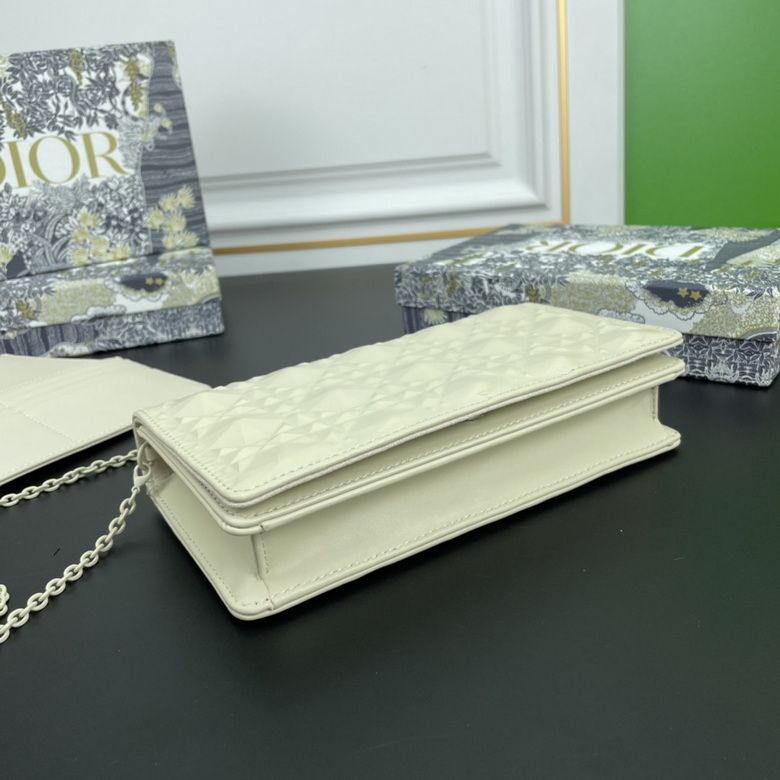 Diorcaropouch 1228 YW (28)