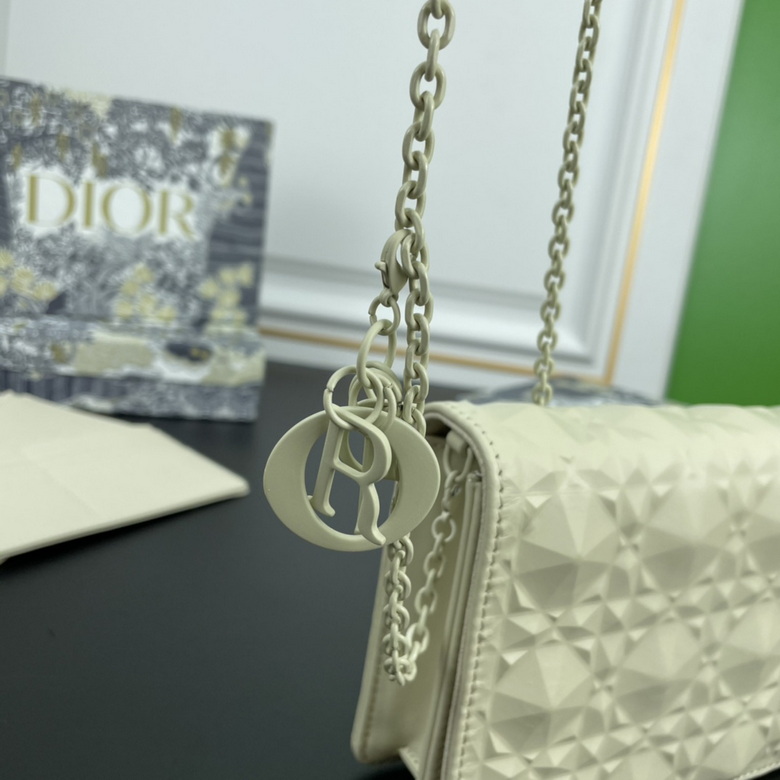 Diorcaropouch 1228 YW (29)