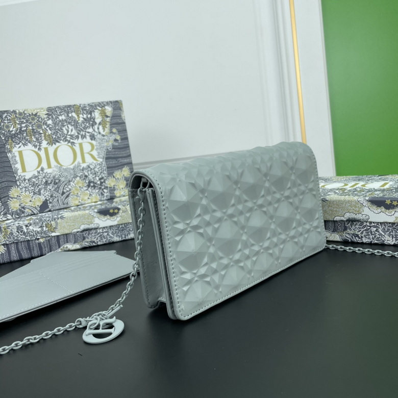 Diorcaropouch 1228 YW (34)