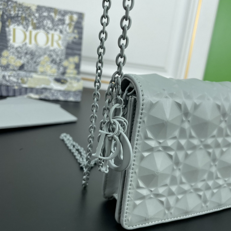 Diorcaropouch 1228 YW (37)