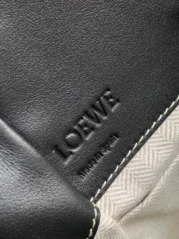 Loewe 061847 19x11x17cm ss35 (3)