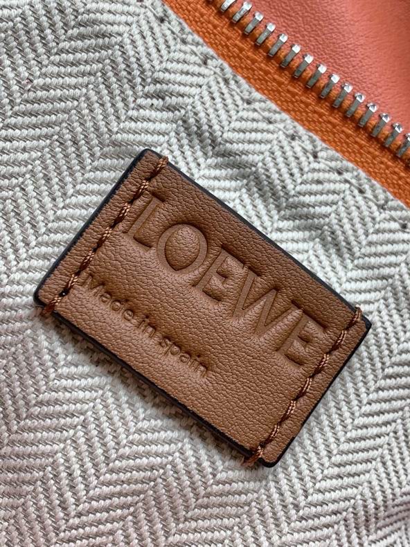 Loewe 261801 24x16.5x10.5cm ss12 (9)