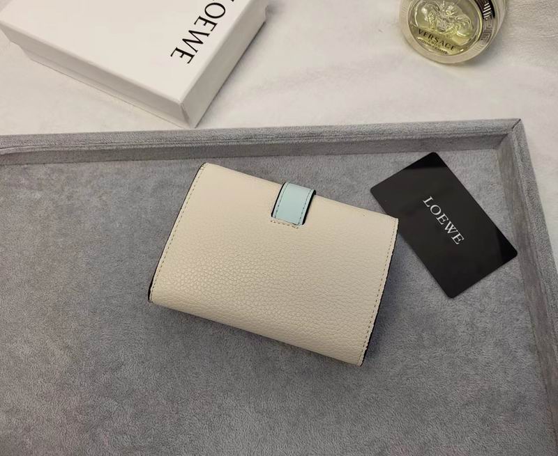 Loewe L1102 9x12x3cm zy (3)