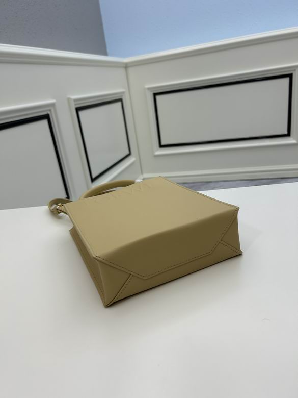 Loewe tote 21x17x6cm ww2色 (13)