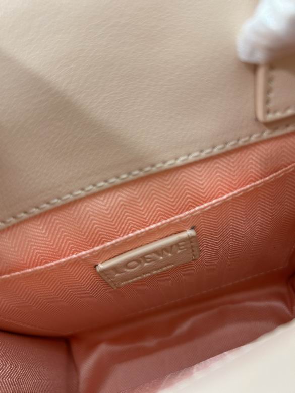 Loewe tote 21x17x6cm ww2色 (8)