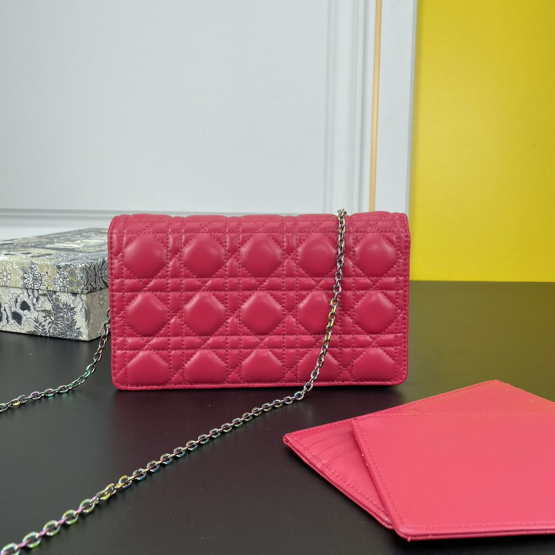 caropouch 1229 21.5X11.5X3cm WW (11)