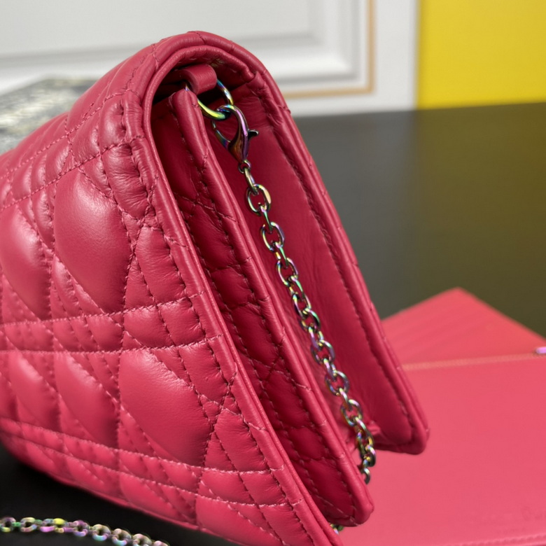 caropouch 1229 21.5X11.5X3cm WW (12)