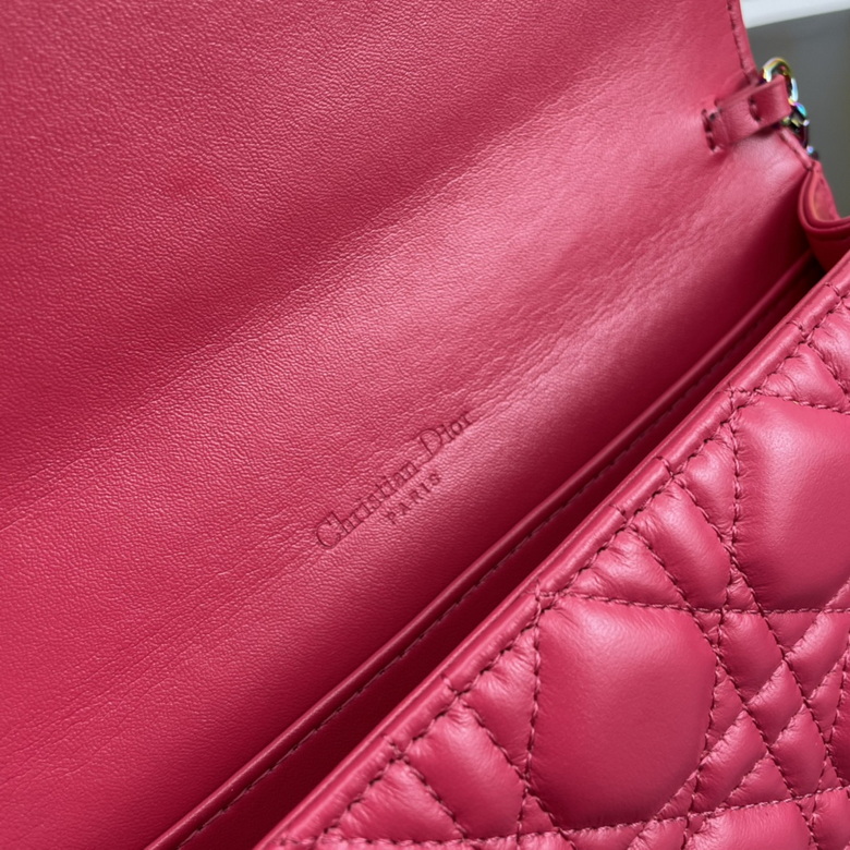 caropouch 1229 21.5X11.5X3cm WW (14)