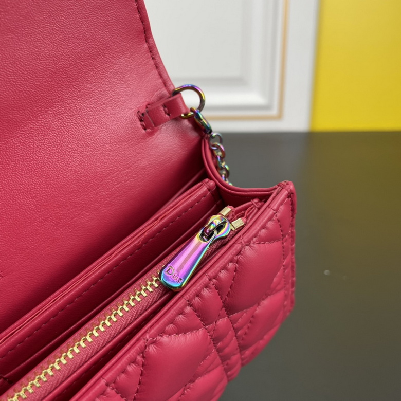 caropouch 1229 21.5X11.5X3cm WW (16)