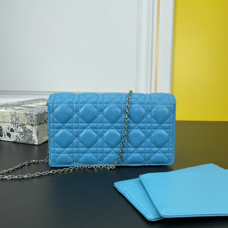 caropouch 1229 21.5X11.5X3cm WW (19)