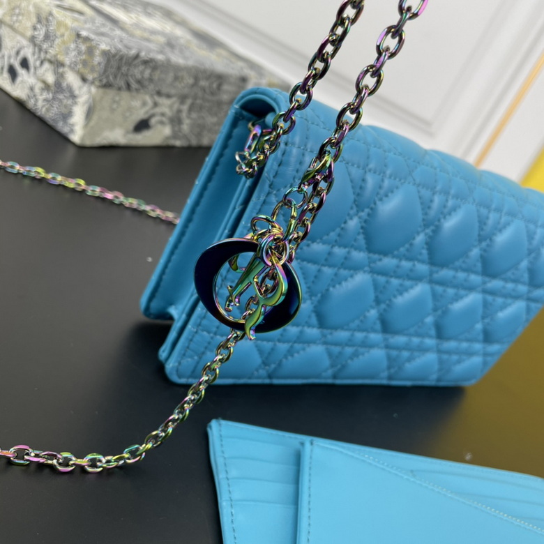 caropouch 1229 21.5X11.5X3cm WW (20)