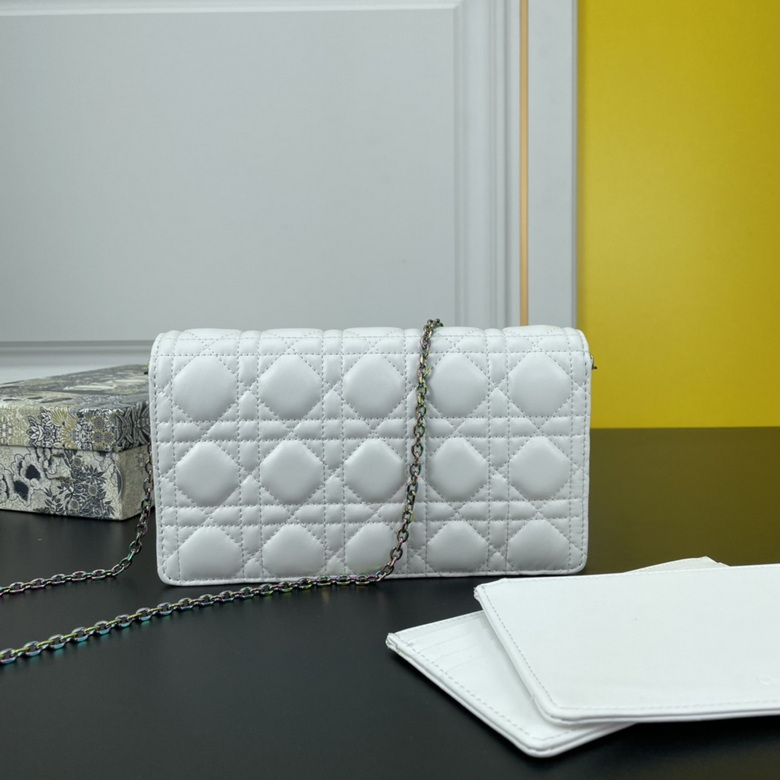 caropouch 1229 21.5X11.5X3cm WW (27)