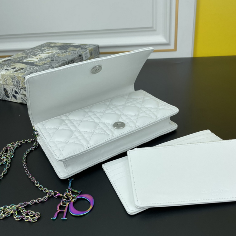 caropouch 1229 21.5X11.5X3cm WW (29)