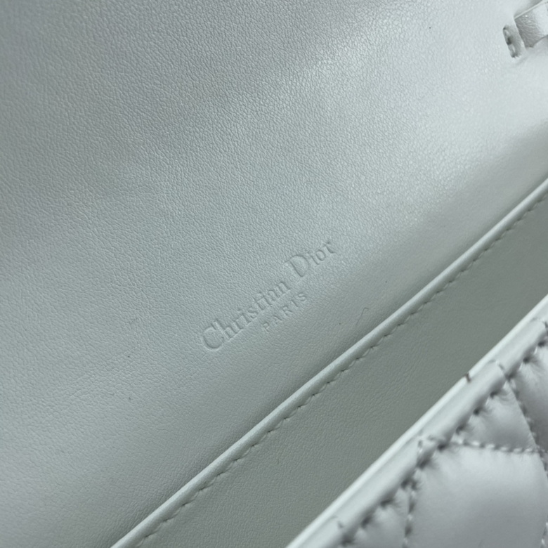 caropouch 1229 21.5X11.5X3cm WW (30)