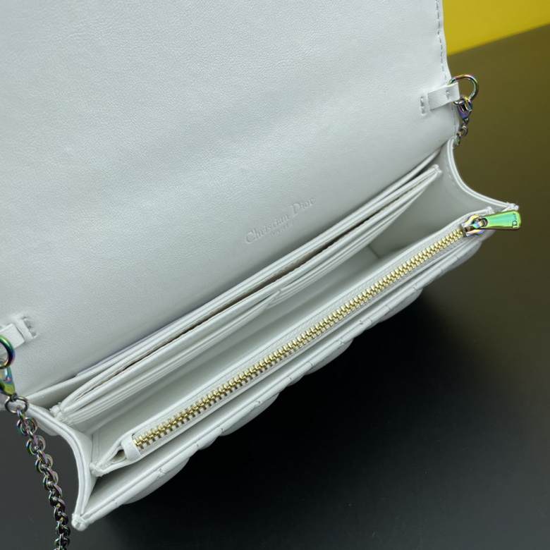 caropouch 1229 21.5X11.5X3cm WW (31)