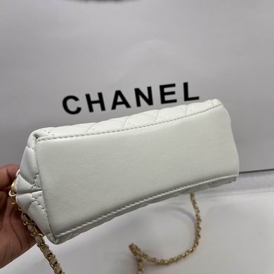 3349 19X13X8cm WO 3colour (15)