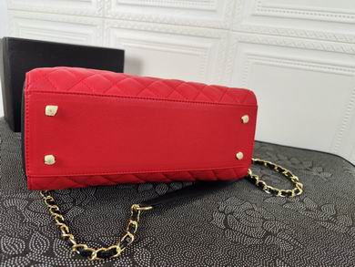 8003 31X23X10cm WO 4colour (16)