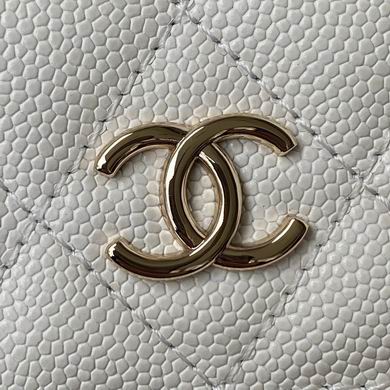 AP2401 8X10X3.5cm WO (3)